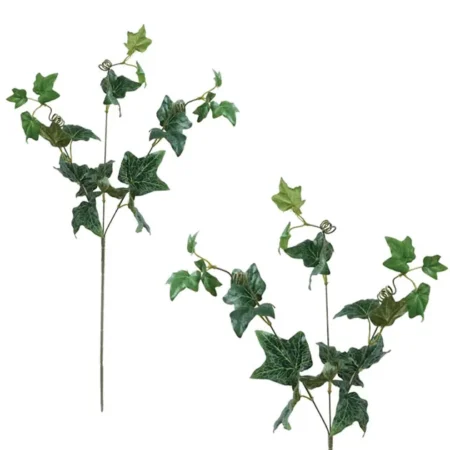 ΚΛΑΔΙ ΚΙΣΣΟΣ ΠΡΑΣΙΝΟ Y56cm. 12/144KIB