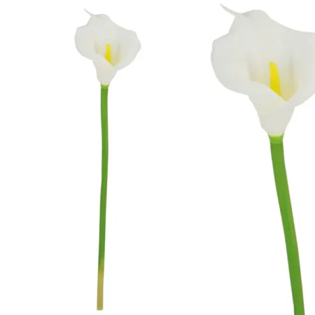 ΚΛΑΔΙ ΚΑΛΛΑΣ ΛΕΥΚΟ REAL TOUCH 12x60cm. 20/432KIB