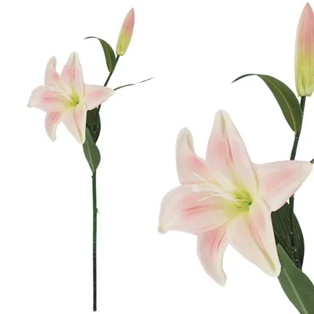 ΚΛΑΔΙ ΛΙΛΙΟΥΜ ΣΟΜΩΝ REAL TOUCH 15x68cm. 24/288KIB