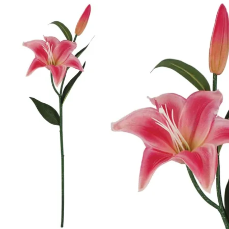 ΚΛΑΔΙ ΛΙΛΙΟΥΜ ΦΟΥΞ REAL TOUCH 15x68cm. 24/288KIB