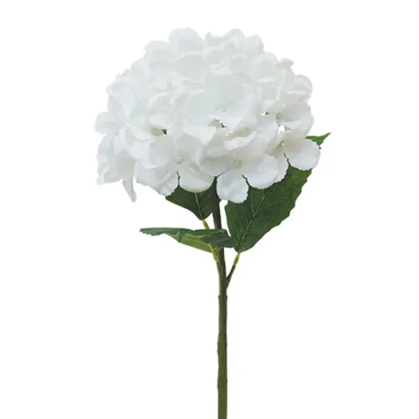 ΚΛΑΔΙ ΟΡΤΑΝΣΙΑ ΕΚΡΟΥ Y47cm. 10/240KIB