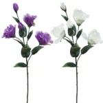 ΚΛΑΔΙ ΥΒΙΣΚΟΣ ΑSS (ΕΚΡΟΥ, ΜΩΒ) Y65cm. 24/120KIB