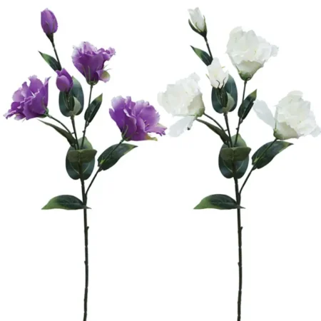 ΚΛΑΔΙ ΥΒΙΣΚΟΣ  ΑSS (ΕΚΡΟΥ, ΜΩΒ) Y65cm. 24/120KIB