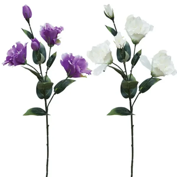 ΚΛΑΔΙ ΥΒΙΣΚΟΣ ΑSS (ΕΚΡΟΥ, ΜΩΒ) Y65cm. 24/120KIB