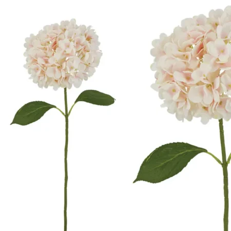 ΚΛΑΔΙ ΡΟΖ ΟΡΤΑΝΣΙΑ Φ18x62cm 24/120KIB