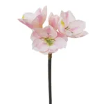 ΚΛΑΔΙ ΡΟΖ ΑΜΑΡΥΛΛΙΣ Y59cm. 24/120KIB