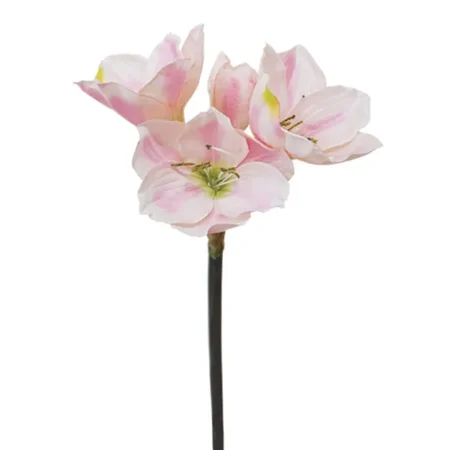 ΚΛΑΔΙ  ΡΟΖ ΑΜΑΡΥΛΛΙΣ Y59cm. 24/120KIB