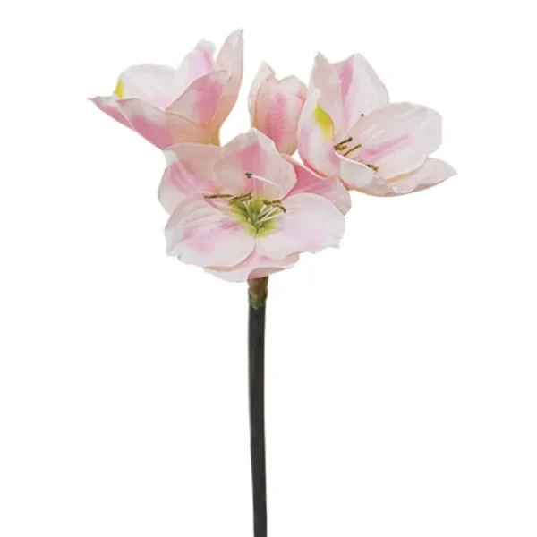 ΚΛΑΔΙ ΡΟΖ ΑΜΑΡΥΛΛΙΣ Y59cm. 24/120KIB