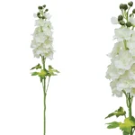 ΚΛΑΔΙ ΔΕΛΦΙΝΙ ΕΚΡΟΥ Y77cm. 12/144KIB