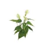 ΦΥΤΟ ΜΙΝΙ ΑΝΘΟΥΡΙΟ ΕΚΡΟΥ REAL TOUCH x3 - Y43cm 6/48KIB