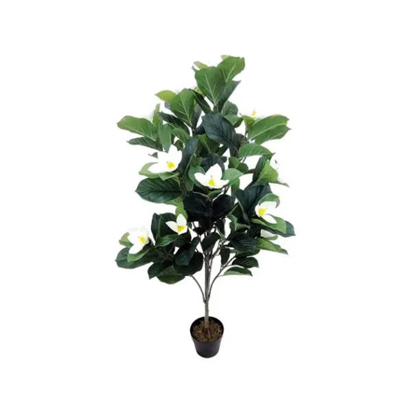 ΔΕΝΤΡΟ MANΩΛΙΑ ΕΚΡΟΥ ΑΝΘΗ ΣΕ ΓΛΑΣΤΡΑ - Y140cm 1/2KIB