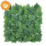 ΠΛΑΚΑΚΙ ΓΚΑΖΟΝ ΦΥΛΛΩΣΙΑΣ ΚΙΣΣΟΣ ΠΛΑΤΥΦΥΛΛΟΣ ΠΡΑΣΙΝΟ - 50x50cm 12/ΚΙΒ