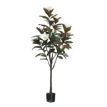 ΔΕΝΤΡΟ ΛΕΥΚΟ ΜΑΝΩΛΙΑ ΣΕ ΓΛΑΣΤΡΑ Υ155cm 2/ΚΙΒ