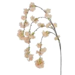 ΚΛΑΔΙ ΡΟΔΑΚΙΝΙΑΣ ΣΟΜΟΝ ΚΡΕΜΑΣΤΟ - Υ94/130cm 600/ΚΙΒ