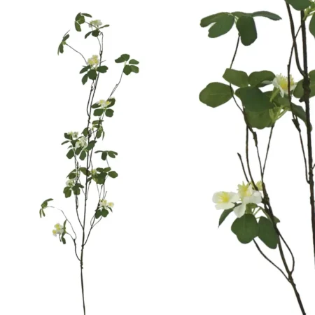 ΚΛΑΔΙ ΨIΛΟΛΟΥΛΟΥΔΟ ΛΕΥΚΟ - Y116cm 24/240KIB