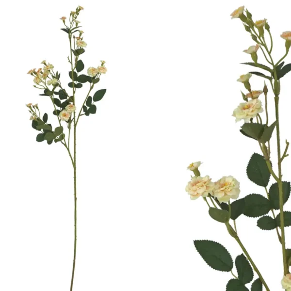 ΚΛΑΔΙ ΤΡΙΑΝΤΑΦΥΛΛΑΚΙ ΣΟΜΟΝ - Υ75cm 24/144ΚΙΒ