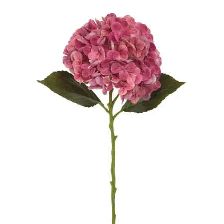 ΚΛΑΔΙ ΟΡΤΑΝΣΙΑΣ ΣΟΜΟΝ/ΦΟΥΞ REAL TOUCH - Φ17x50cm 24/240ΚΙΒ