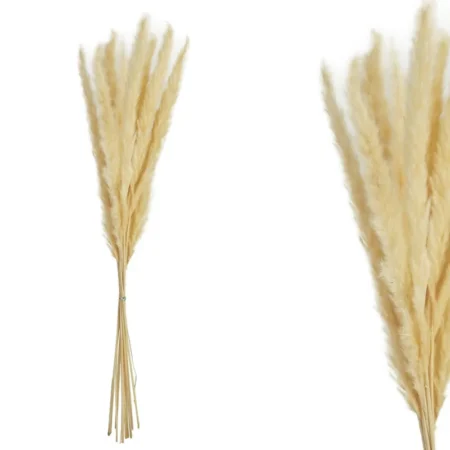 ΚΛΑΔΙ ΕΚΡΟΥ ΠΑΜΠΑΣ ΑΠΟΞHΡΑΜΕΝΟ ~10ΤΕΜ/ΜΑΤΣΟ - Y70-75cm 1/300KIB