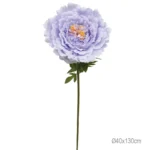 ΚΛΑΔΙ ΠΑΙΩΝΙΑ ΛΙΛΑ ΓΙΓΑΣ - Φ40x130cm 12/ΚΙΒ