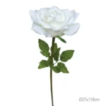 ΚΛΑΔΙ ΤΡΙΑΝΤΑΦΥΛΛΟ ΣΑΜΠΑΝΙ ΓΙΓΑΣ - Φ37x116cm 12/ΚΙΒ