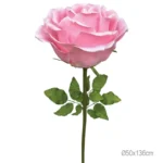 ΚΛΑΔΙ ΤΡΙΑΝΤΑΦΥΛΛΟ ΦΟΥΞ ΓΙΓΑΣ - Φ50x136cm 6/ΚΙΒ