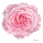 ΚΡΕΜΑΣΤΟ ΤΡΙΑΝΤΑΦΥΛΛΟ ΦΟΥΞ ΓΙΓΑΣ - Φ70cm 6/ΚΙΒ