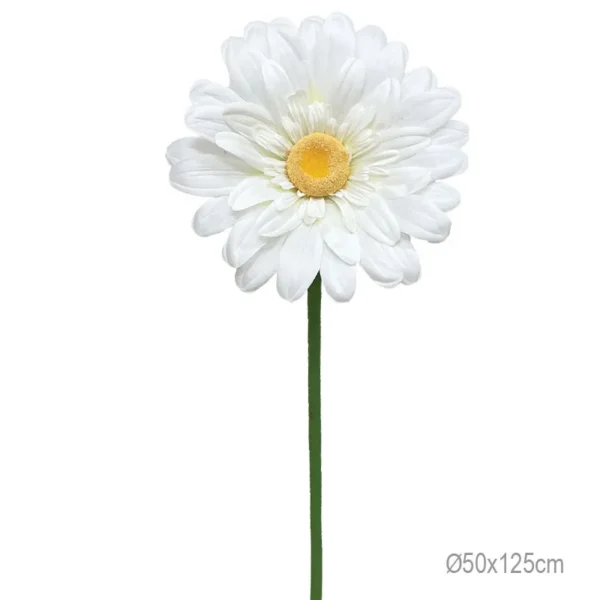 ΚΛΑΔΙ ΜΑΡΓΑΡΙΤΑ ΛΕΥΚΟ ΓΙΓΑΣ - Φ50x125cm 24/ΚΙΒ
