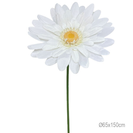 ΚΛΑΔΙ ΜΑΡΓΑΡΙΤΑ ΕΚΡΟΥ ΓΙΓΑΣ - Φ65x150cm 12/ΚΙΒ