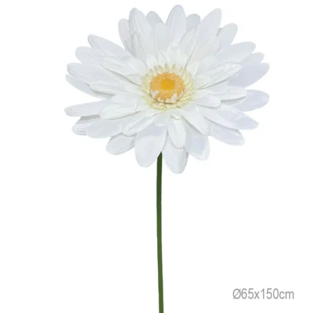 ΚΛΑΔΙ ΜΑΡΓΑΡΙΤΑ ΕΚΡΟΥ ΓΙΓΑΣ - Φ65x150cm 12/ΚΙΒ