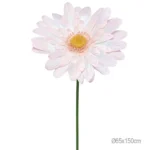 ΚΛΑΔΙ ΜΑΡΓΑΡΙΤΑ ΛΕΥΚΟ ΓΙΓΑΣ XXL - 65x65x150cm 12/ΚΙΒ