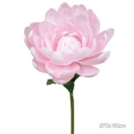 ΚΛΑΔΙ ΝΟΥΦΑΡΟ ΡΟΖ ΓΙΓΑΣ - Φ70x160cm 6/ΚΙΒ