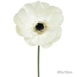 ΚΛΑΔΙ ΑΝΕΜΩΝΗ ΕΚΡΟΥ ΓΙΓΑΣ - Φ55x150cm 12/ΚΙΒ