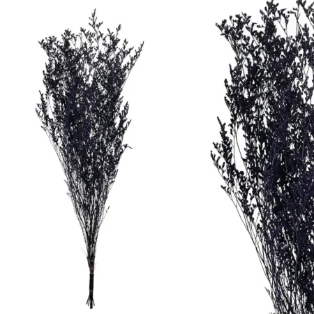 ΚΛΑΔΙ ΜΩΒ ΛΕΙΜΩΝΙΟ ΑΠΟΞΗΡΑΜΕΝΟ 3~5 ΤΜΧ/ΜΑΤΣΟ Υ80~90cm