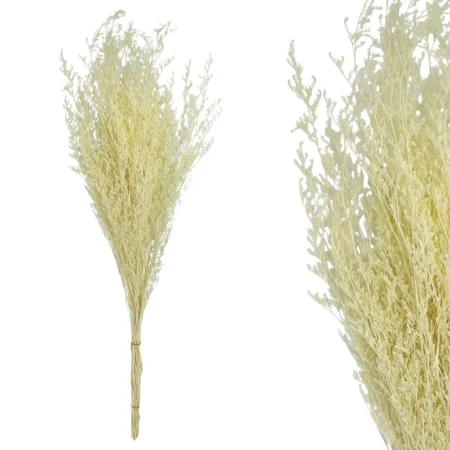 ΚΛΑΔΙ ΕΚΡΟΥ ΛΕΙΜΩΝΙΟ ΑΠΟΞΗΡΑΜΕΝΟ 3~5 ΤΜΧ/ΜΑΤΣΟ Υ80~90cm