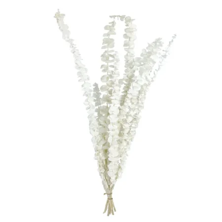 ΚΛΑΔΙ ΕΚΡΟΥ ΕΥΚΑΛΥΠΤΟΣ ΑΠΟΞΗΡΑΜΕΝΟ 10~11 ΤΜΧ/ΜΑΤΣΟ Υ50~60cm