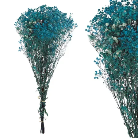 ΚΛΑΔΙ ΜΠΛΕ ΓΥΨΟΦΥΛΛΗ ΑΠΟΞΗΡΑΜΕΝΟ 6~10 ΤΜΧ/ΜΑΤΣΟ Υ70~80cm