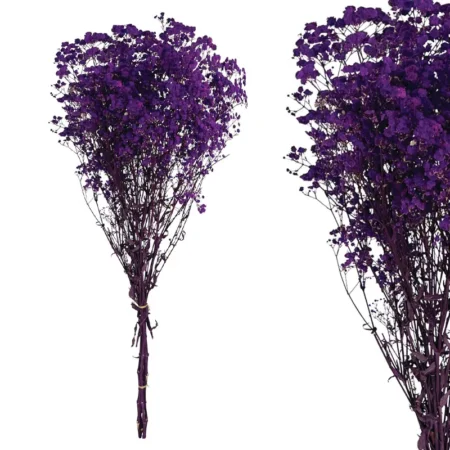 ΚΛΑΔΙ ΜΩΒ ΓΥΨΟΦΥΛΛΗ ΑΠΟΞΗΡΑΜΕΝΟ  6~10 ΤΜΧ/ΜΑΤΣΟ Υ70~80cm