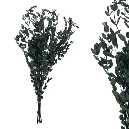 ΚΛΑΔΙ ΠΡΑΣΙΝΟ ΕΥΚΑΛΥΠΤΟΣ ΑΠΟΞΗΡΑΜΕΝΟ 5~7ΤΜΧ/ΜΑΤΣΟ Υ65~75cm