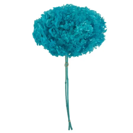 ΚΛΑΔΙ KYANO ΟΡΤΑΝΣΙΑ ΑΠΟΞΗΡΑΜΕΝΟ 1~2TMX/ΜΑΤΣΟ Φ25~27 x Y50~60cm