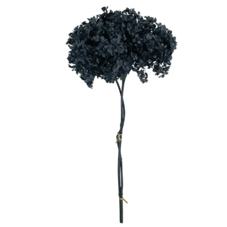 ΚΛΑΔΙ ΓΚΡΙ ΟΡΤΑΝΣΙΑ ΑΠΟΞΗΡΑΜΕΝΟ 1~2TMX/ΜΑΤΣΟ Φ25~27 x Y50~60cm