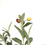 OLIVE TREE NP439_150 ΥΨΟΣ 150cm NewPlan