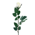 ΚΛΑΔΙ ΜΠΑΚΑΡΑΣ ΜΠΟΥΜΠΟΥΚΙ ΣΑΜΠΑΝΙ MONO Y64cm. 48/576KIB