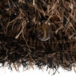 ΦΩΤΙΣΤΙΚΟ ΟΡΟΦΗΣ ORDEM HM4715 ΚΑΠΕΛΟ ΙΝΕΣ SISAL & ΜΠΑΝΑΝΑΣ-ΜΑΥΡΟ & ΦΥΣΙΚΟ Φ75εκ