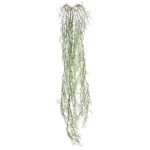 ΡΙΖΑ ΚΡΕΜΑΣΤΗ ΑΕΡΟΦΥΤΟ ΠΡΑΣΙΝΟ - Y138cm 36/144ΚΙΒ