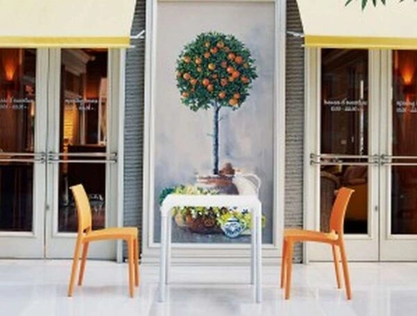 MAYA ΚΑΡΕΚΛΑ ORANGE(22)ΠΟΛ/ΝΙΟΥ - ΠΟΛΥΠΡΟΠΥΛΕΝΙΟ - ORANGE