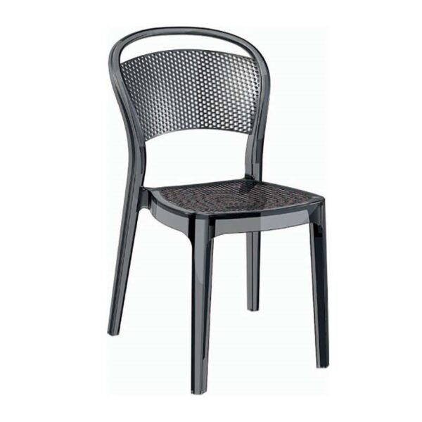 BEE BLACK TRANSP.(Σ4)ΚΑΡΕΚΛΑ - ΑΚΡΥΛΙΚΟ - ΜΑΥΡΟ