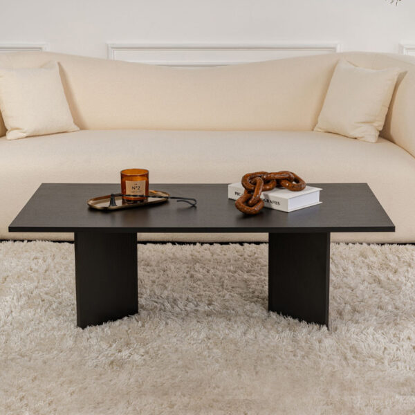 Τραπεζάκι σαλονιού Sabin Megapap χρώμα μαύρο 119x60x40εκ.