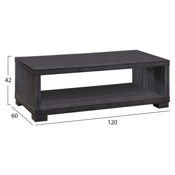 ΤΡΑΠΕΖΙ ΣΑΛΟΝΙΟΥ SALEM HM2217.01 ZEBRANO 120Χ60Χ42εκ.