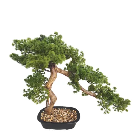 ΔΕΝΤΡΟ ΜΠΟΝΣΑΪ ΠΕΥΚΟ ΜΙΚΡΟ ΠΡΑΣΙΝΟ ΣΕ ΚΑΣΠΩ - 65x38x57cm 2/KIB