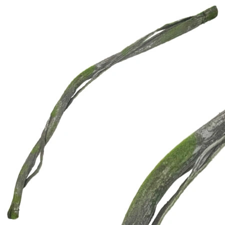 ΚΛΑΡΑ ΚΑΦΕ/ΠΡΑΣΙΝΟ ΜΕ ΒΡΥΑ & ΕΞΤΡΑ ΦΛΟΙΟ ΕΥΚΑΜΠΤΗ - Υ180cm 24/96KIB